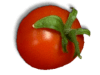 Captcha image 6341