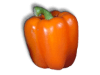 Captcha image 1280