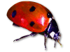 Captcha image 2735